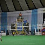 Kibicowskie zdjęcia z turnieju Stomil Cup