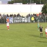 Kibicowskie zdjęcia z meczu Pelikan Łowicz - Stomil Olsztyn 1:2