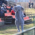 Stomil Olsztyn wygrał 3:0 z Concordią Elbląg