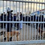 Kibicowskie zdjęcia z meczu Stomil Olsztyn - Olimpia Elbląg 1:2