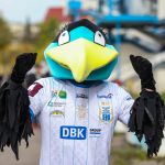 Kibicowskie zdjęcia z meczu Stomil Olsztyn - Start Nidzica 3:1