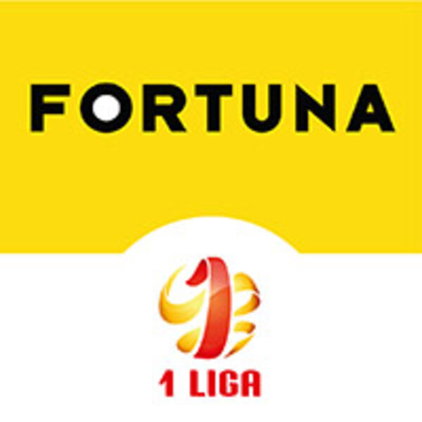 Fortuna jest także sponsorem I ligi. Fot. 1liga.org