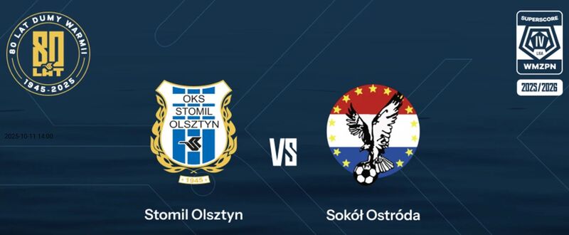 Zdjęcie jest ilustracją do tekstu. Fot. stomilolsztyn.com