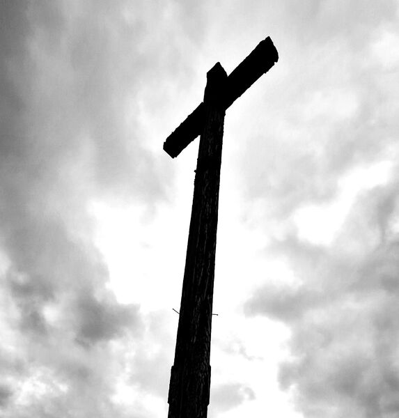 Zdjęcie jest ilustracją do tekstu. Fot. Emil Marecki