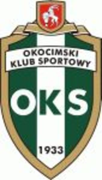 Logo Okocimski KS Brzesko, fot. 90minut.pl