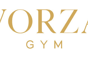 Vorza Gym sponsorem meczu Stomil - DKS