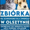 Młode Pokolenie Stomilowców wspiera Schronisko dla Zwierząt w Olsztynie